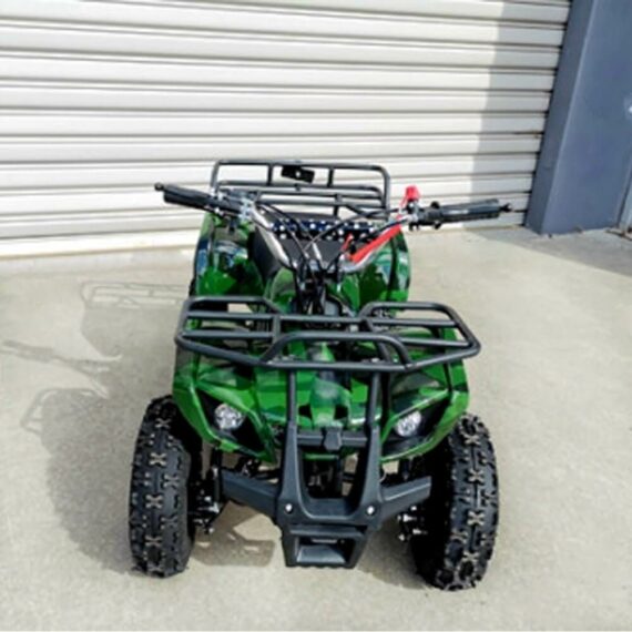 49cc Petrol Powered 2-Stroke Farm Kids ATV Quad Bike - Green