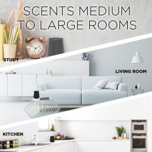 Air Wick Essential Mist Refill 5 ct Mandarin & Sweet Orange Essential Oils Diffuser Air Freshener