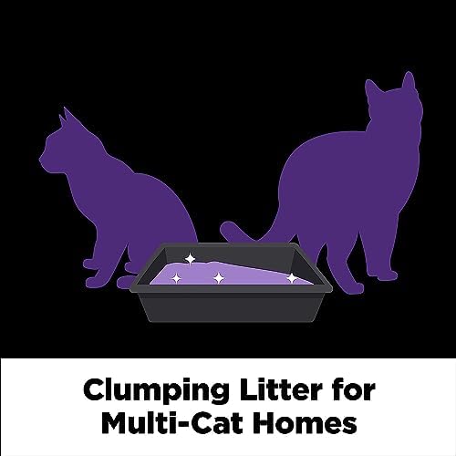 Arm Hammer SLIDE Platinum Multi-Cat Easy Clean-Up Clumping Cat Litter  14 Days of Odor Control 18 lb