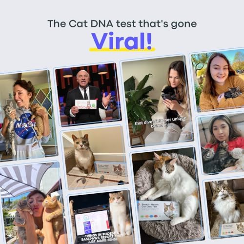 Basepaws Cat DNA Test Kit – Comprehensive Breed  Health and Dental Analysis Across 114 Traits for Accurate and Easy-to-Use Genetic Insights