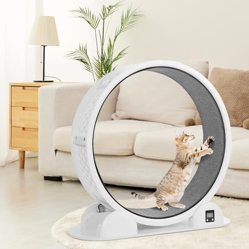 Cat Exercise Wheel with Pedometer  10 Minutes Fast and Easy Installation  41” Large Cat Treadmill Running Fitness Workout Wheels for Indoor Cats