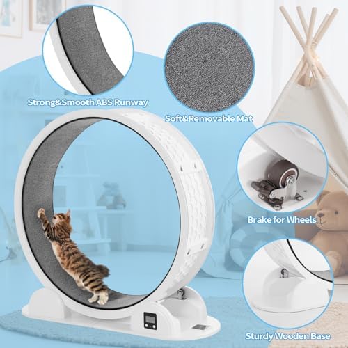 Cat Exercise Wheel with Pedometer  10 Minutes Fast and Easy Installation  41” Large Cat Treadmill Running Fitness Workout Wheels for Indoor Cats