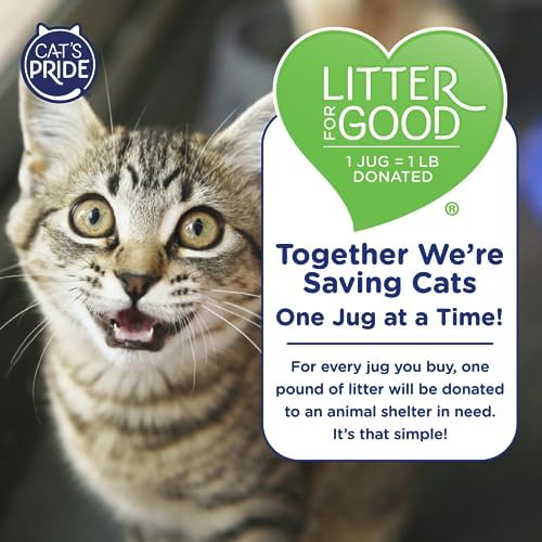 Cat's Pride Max Power: UltraClean Low Tracking Multi-Cat Clumping Litter - Keeps Paws & Home Clean - Up to 10 Days of Powerful Odor Control - 99% Dust Free - Unscented  15 Pounds