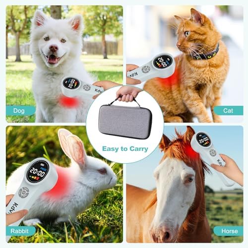 Cold Laser Therapy Device for Dogs 4x980nm+16x660nm+4x810nm Low Level Laser Therapy Handheld Laser Therapy Device Pet Laser Therapy for Dogs Cats Muscle & Joint Pain Relief Reduce Inflammation