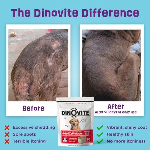 Dinovite Probiotics for Dogs – Promotes Healthy Skin & Coat with Omega 3 for Dogs  Tackles Hot Spots  Supports Digestion & Gut Health – 90 Day Supply for Large Dogs  45+ lbs