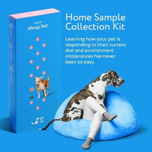 Dna My Dog Canine Allergy Test Sensitivity and Intolerance Testing Kits Home Sample Collection Kit for Dogs Allergy