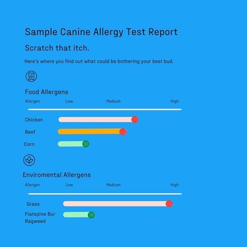 Dna My Dog Canine Allergy Test Sensitivity and Intolerance Testing Kits Home Sample Collection Kit for Dogs Allergy