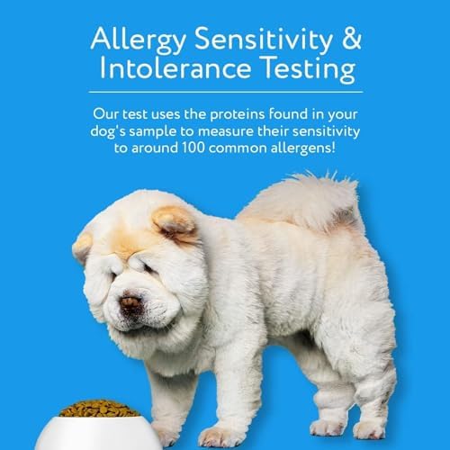 Dna My Dog Canine Allergy Test Sensitivity and Intolerance Testing Kits Home Sample Collection Kit for Dogs Allergy