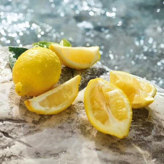 Dolce & Gabbana Light Blue Eau De Toilette Spray Fragrance For Women