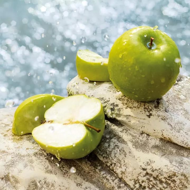 Dolce & Gabbana Light Blue Eau De Toilette Spray Fragrance For Women