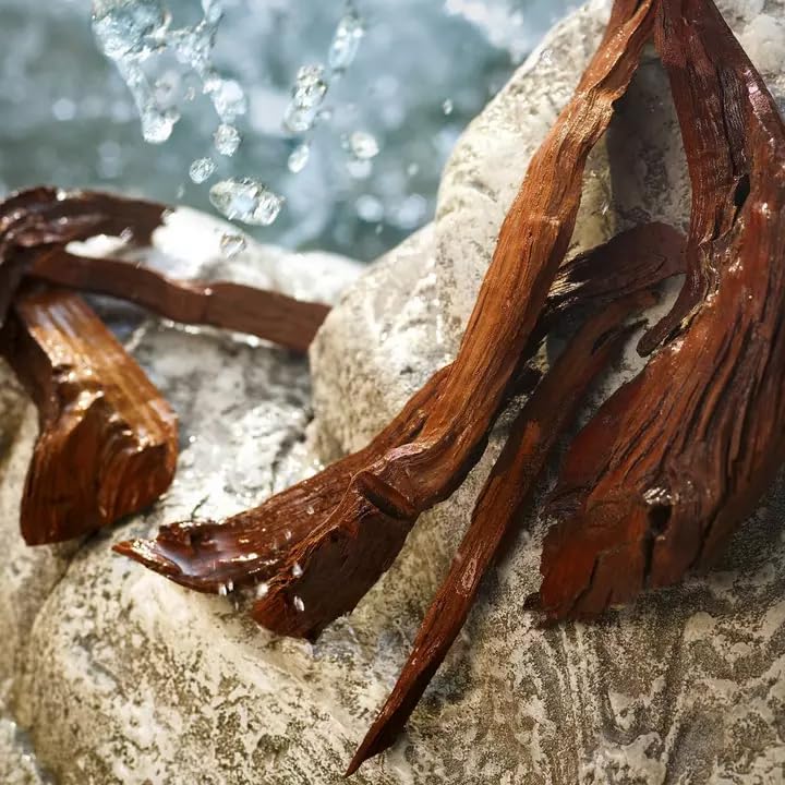 Dolce & Gabbana Light Blue Eau De Toilette Spray Fragrance For Women