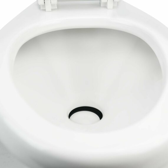Dometic 302320081 320 Series Standard Height RV Toilet, White
