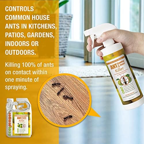 EcoRaider Ant & Crawling Insect Killer (34 OZ)  100% Fast Kills  Also Kills Fire Ants. Lasting Repellency  Safe for Children & Pets