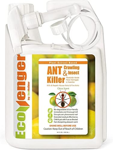 EcoRaider Ant & Crawling Insect Killer (34 OZ)  100% Fast Kills  Also Kills Fire Ants. Lasting Repellency  Safe for Children & Pets