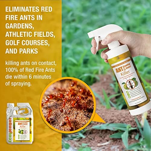 EcoRaider Ant & Crawling Insect Killer (34 OZ)  100% Fast Kills  Also Kills Fire Ants. Lasting Repellency  Safe for Children & Pets