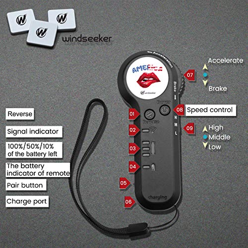 Electric Skateboard with Remote Control for Beginners Cruiser E-Ska with DIY Stickers