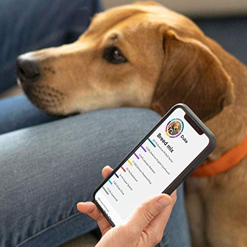 Embark Breed & Health Kit (2 Pack) - Dog DNA Test - Discover Breed Ancestry Relative Finder Genetic Health Traits COI