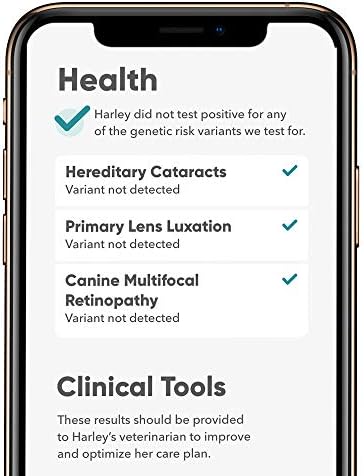 Embark Breed & Health Kit (2 Pack) - Dog DNA Test - Discover Breed Ancestry Relative Finder Genetic Health Traits COI