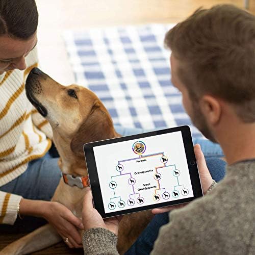 Embark Breed & Health Kit (2 Pack) - Dog DNA Test - Discover Breed Ancestry Relative Finder Genetic Health Traits COI