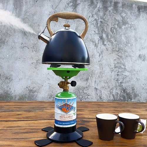 Flame King Refillable 1LB Empty Propane Cylinder Tank - Reusable - Safe and Legal Refill Option - DOT Compliant - 16.4 oz  Green