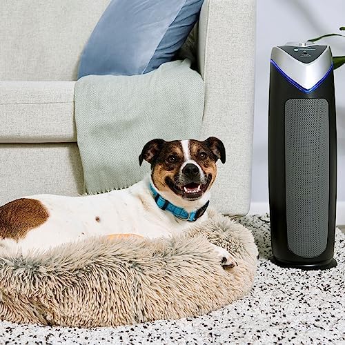 GermGuardian Air Purifier with HEPA 13 Filter  Removes 99.97% of Pollutants  Covers Large Room up to 743 Sq. Foot Room in 1 Hr  UV-C Light Helps Reduce Germs  Zero Ozone Verified  22"  Gray  AC4825E