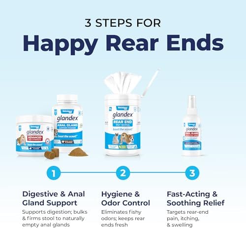 Glandex Anal Gland Soft Chew Treats with Pumpkin for Dogs Digestive Enzymes  Probiotics Fiber Supplement for Dogs Boot The Scoot (Peanut Butter Chews  120ct)