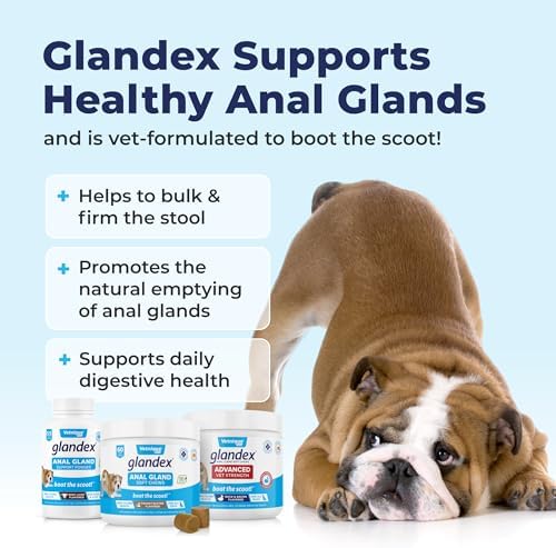 Glandex Anal Gland Soft Chew Treats with Pumpkin for Dogs Digestive Enzymes  Probiotics Fiber Supplement for Dogs Boot The Scoot (Peanut Butter Chews  120ct)
