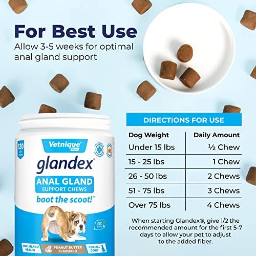 Glandex Anal Gland Soft Chew Treats with Pumpkin for Dogs Digestive Enzymes  Probiotics Fiber Supplement for Dogs Boot The Scoot (Peanut Butter Chews  120ct)