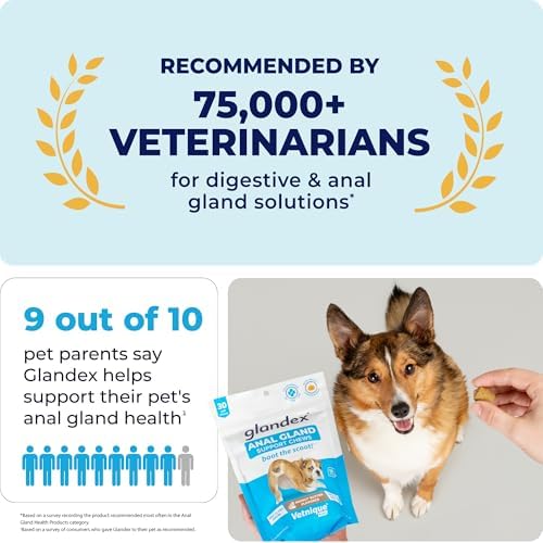 Glandex Anal Gland Soft Chew Treats with Pumpkin for Dogs Digestive Enzymes  Probiotics Fiber Supplement for Dogs Boot The Scoot (Peanut Butter Chews  120ct)