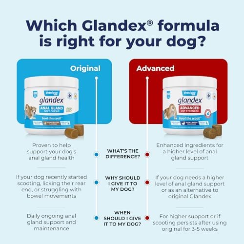 Glandex Anal Gland Soft Chew Treats with Pumpkin for Dogs Digestive Enzymes  Probiotics Fiber Supplement for Dogs Boot The Scoot (Peanut Butter Chews  120ct)