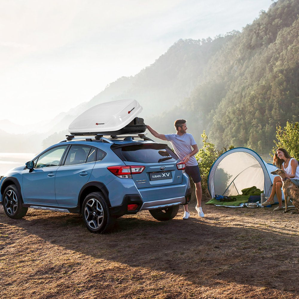 Goplus 14 Cubic Feet Cargo Box Dual-Sided Opening Rooftop Carrier W/Car Trunk Organizer