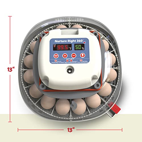 Harris Farms Nurture Right Egg Incubator for Hatching Chicks - Holds 22 Eggs