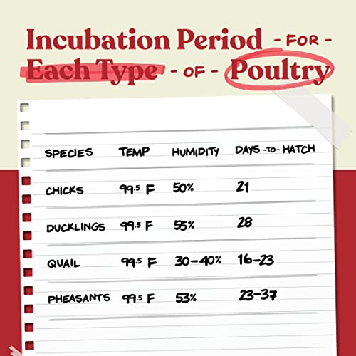 Harris Farms Nurture Right Egg Incubator for Hatching Chicks – Holds 22 Eggs