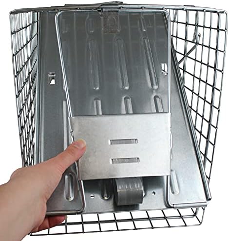 Havahart 1079SR Large 1-Door Humane Catch and Release Live Animal Trap for Raccoons  Cats  Bobcats  Beavers  Small Dogs  Groundhogs  Opossums  Foxes  Armadillos  and Similar-Sized Animals