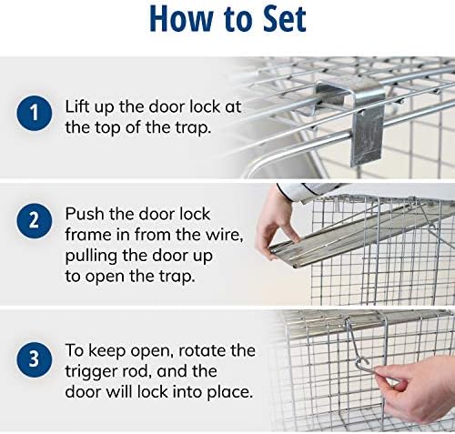 Havahart 1079SR Large 1-Door Humane Catch and Release Live Animal Trap for Raccoons  Cats  Bobcats  Beavers  Small Dogs  Groundhogs  Opossums  Foxes  Armadillos  and Similar-Sized Animals