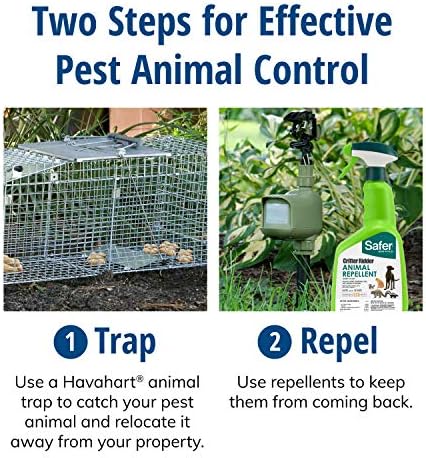 Havahart 1079SR Large 1-Door Humane Catch and Release Live Animal Trap for Raccoons  Cats  Bobcats  Beavers  Small Dogs  Groundhogs  Opossums  Foxes  Armadillos  and Similar-Sized Animals