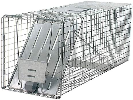 Havahart 1079SR Large 1-Door Humane Catch and Release Live Animal Trap for Raccoons  Cats  Bobcats  Beavers  Small Dogs  Groundhogs  Opossums  Foxes  Armadillos  and Similar-Sized Animals