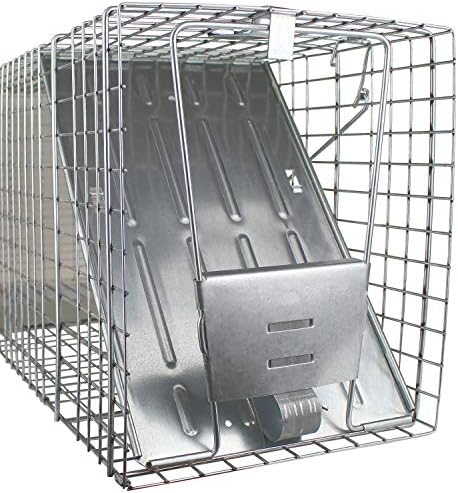 Havahart 1079SR Large 1-Door Humane Catch and Release Live Animal Trap for Raccoons  Cats  Bobcats  Beavers  Small Dogs  Groundhogs  Opossums  Foxes  Armadillos  and Similar-Sized Animals