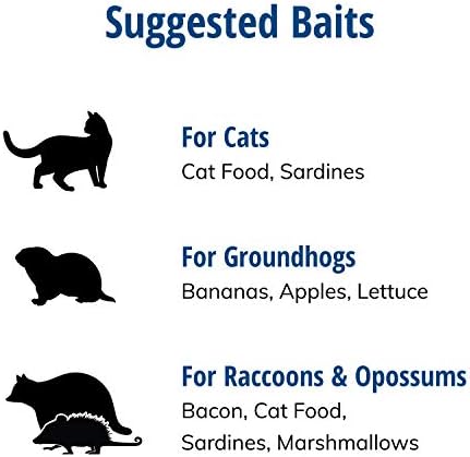 Havahart 1079SR Large 1-Door Humane Catch and Release Live Animal Trap for Raccoons  Cats  Bobcats  Beavers  Small Dogs  Groundhogs  Opossums  Foxes  Armadillos  and Similar-Sized Animals