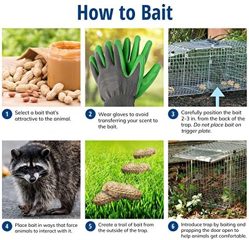 Havahart 1079SR Large 1-Door Humane Catch and Release Live Animal Trap for Raccoons  Cats  Bobcats  Beavers  Small Dogs  Groundhogs  Opossums  Foxes  Armadillos  and Similar-Sized Animals