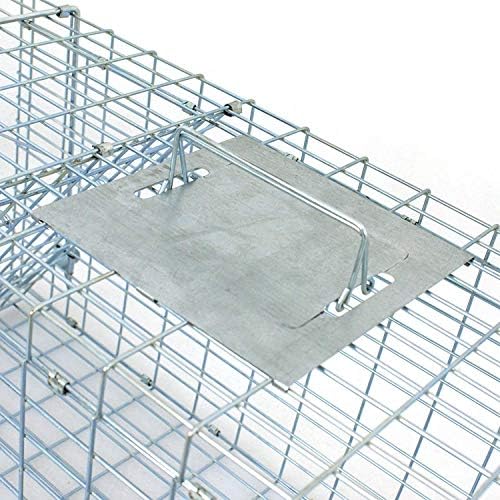 HomGarden Humane Live Animal Cage Trap 32inch Steel Catch Release Rodent Cage for Rabbits  Groundhog  Stray Cat  Squirrel  Raccoon  Mole  Gopher  Chicken  Opossum  Skunk  Chipmunk
