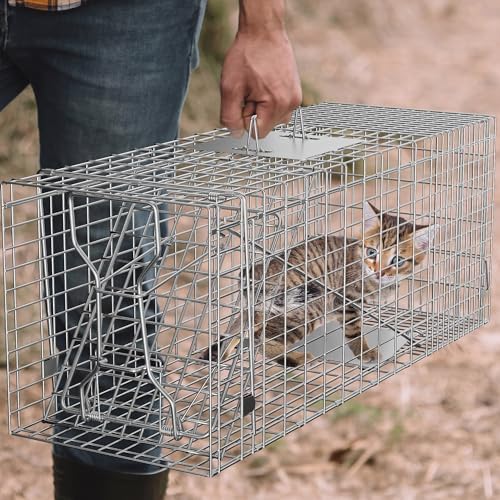 HomGarden Humane Live Animal Cage Trap 32inch Steel Catch Release Rodent Cage for Rabbits  Groundhog  Stray Cat  Squirrel  Raccoon  Mole  Gopher  Chicken  Opossum  Skunk  Chipmunk