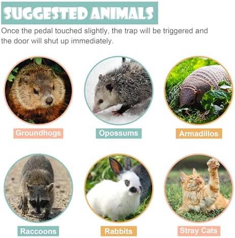 HomGarden Humane Live Animal Cage Trap 32inch Steel Catch Release Rodent Cage for Rabbits  Groundhog  Stray Cat  Squirrel  Raccoon  Mole  Gopher  Chicken  Opossum  Skunk  Chipmunk