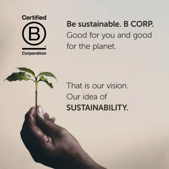 illy Whole Bean Coffee Classico Medium Roast, 100% Arabica, Caramel & Jasmine Notes, 8.8 oz, 6 Pack