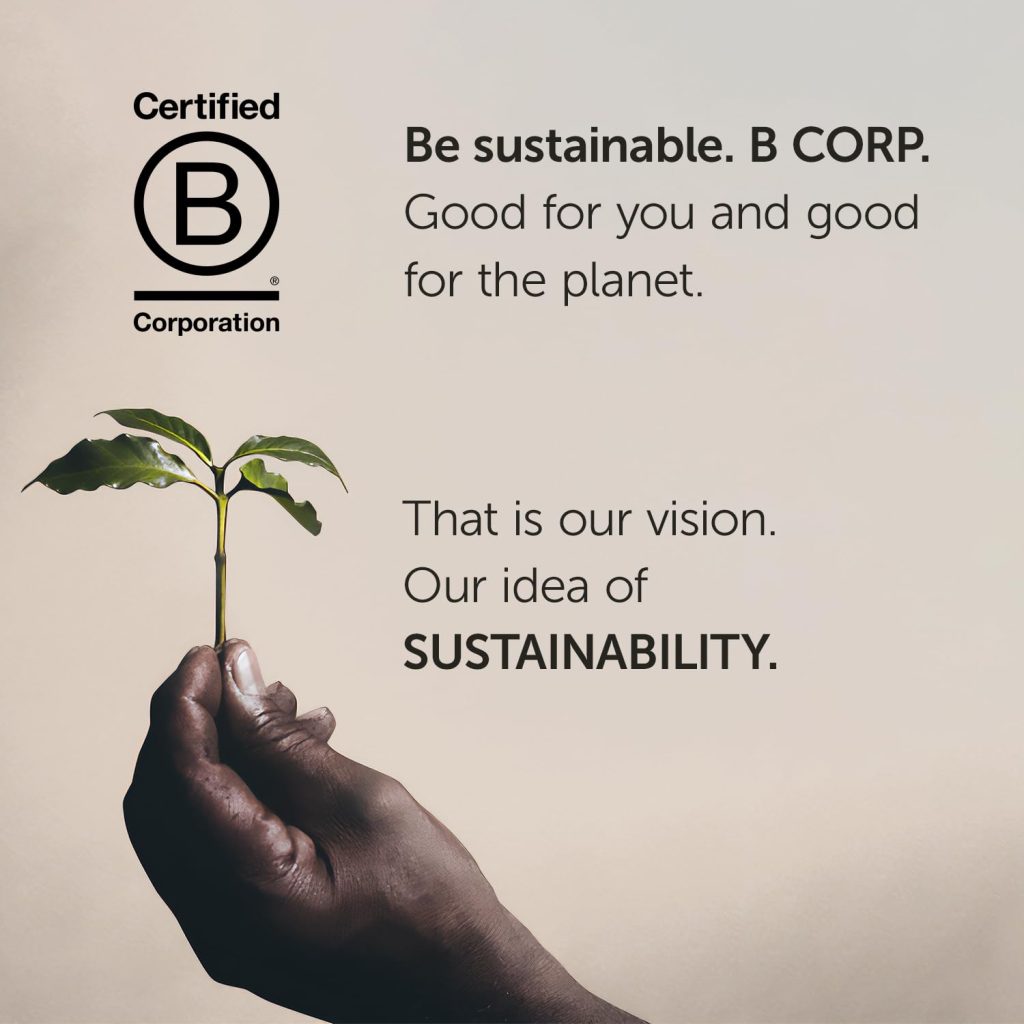 illy Whole Bean Coffee Classico Medium Roast, 100% Arabica, Caramel & Jasmine Notes, 8.8 oz, 6 Pack