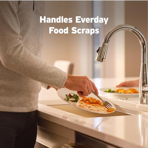 InSinkErator Badger 5 Garbage Disposal, Standard Series 1/2 HP Continuous Feed Food Waste Disposer