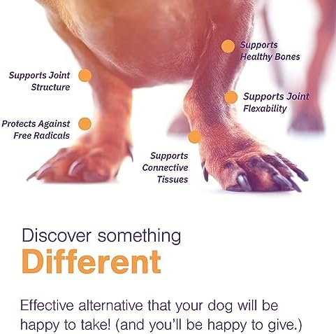 Joint Support Supplement for Dogs - Hip and Joint Support - Dog Joint Supplement - Hip and Joint Supplement Dogs - 120 Soft Chews for Medium Dogs (by Virbac)