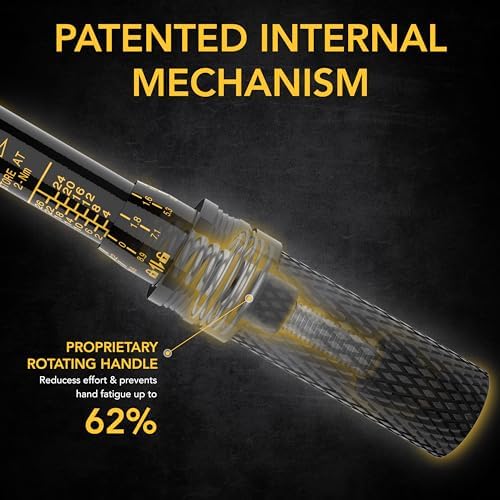 LEXIVON Bike Torque Wrench 1/4-Inch Dr. 15-Piece Kit | 72-Tooth Gear  Dual-Direction Click Type 2~26 Nm / 17.7~230.1 in-lb (LX-191)