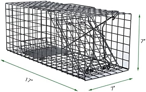 Live Squirrel Trap Humane Animal Cage Trap