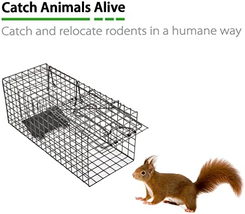 Live Squirrel Trap Humane Animal Cage Trap